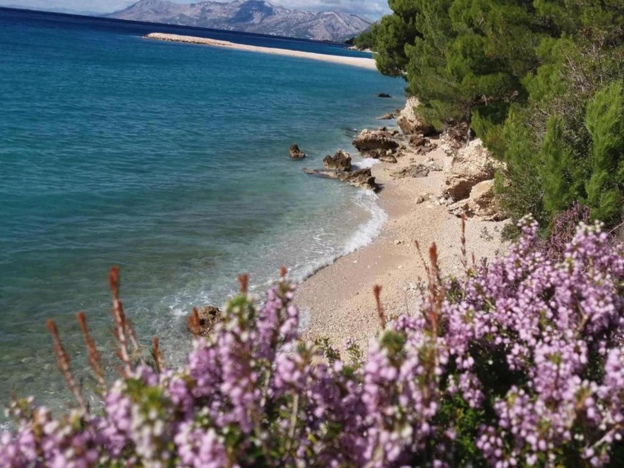 Luxurious Holiday Home In Makarska With Jacuzzi Ngoại thất bức ảnh